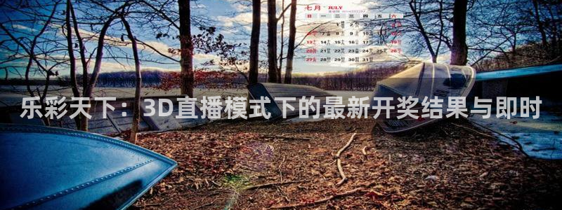 巅峰国际com：乐彩天下：3D直播模式下的最新开奖结果与即时
