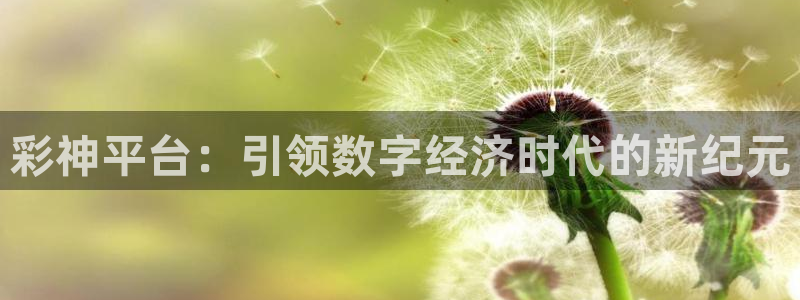 决胜巅峰国际服叫啥：彩神平台：引领数字经济时代的新纪元