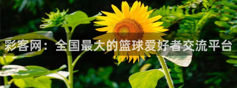 超凡巅峰国际服下载：彩客网：全国最大的篮球爱好者交流平台