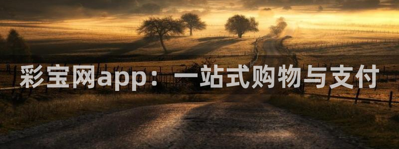巅峰国际比特28预测：彩宝网app：一站式购物与支付