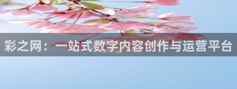 巅峰国际登录入口苹果：彩之网：一站式数字内容创作与运营平台